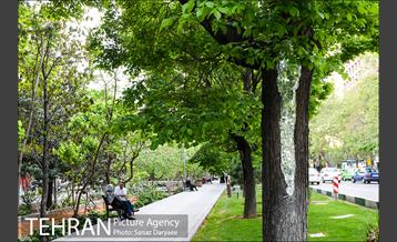 جشنواره بهارستان 17