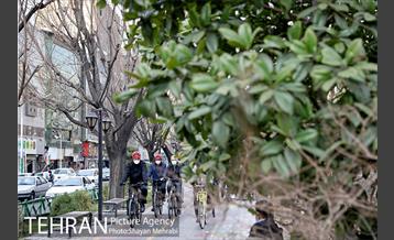 پویش سه شنبه های بدون خودرو 16