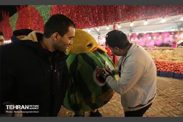 جشنواره انار در بوستان آب و آتش  19