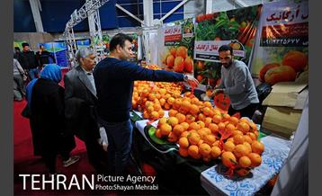 یازدهمین نمایشگاه محصولات غذایی ارگانیک 1