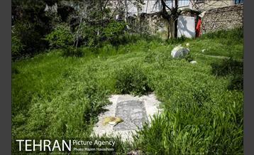 گورستان ده ونک 7