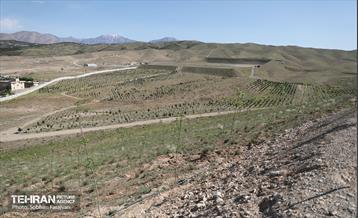 بازدید اصحاب رسانه از کمربند سبز 36