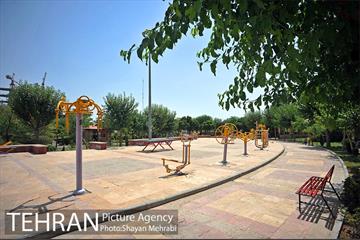 بوستان الغدیر 13