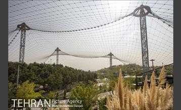 باغ پرندگان فاز دوم 7