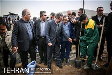 آئین کاشت نهال در بوستان جنگلی سرخه حصار 12