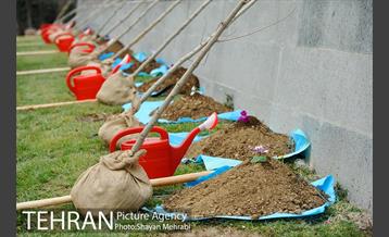 مراسم درختکاری به مناسبت روز مادر 18