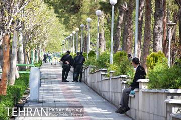 روز طبیعت متفاوت شهر تهران-1 49