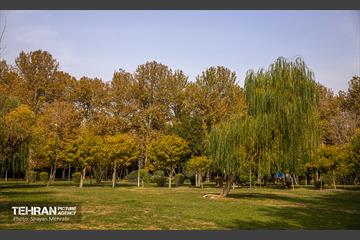 سمفونی رنگ های پاییزی - پارک لاله 12