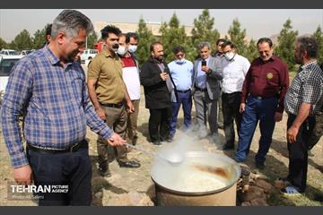 بوستان نرجس خاتون (س) و بوستان هاى منطقه ١٥ در روز طبیعت 11