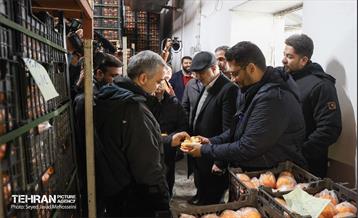 بازدید از سردخانه 20