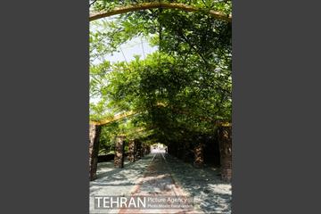 معماری شهری تهران 30