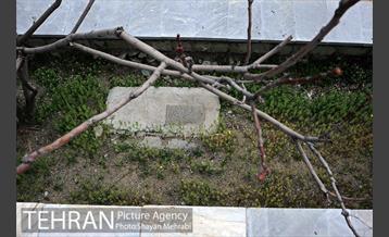 گورستان جوزدرختک (آجودانیه) 23