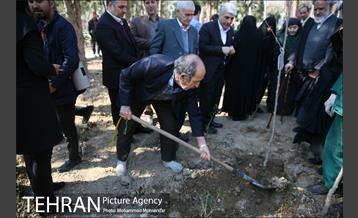 غرس نهال در بوستان بهاران 19