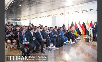 دومین دوره‌ مسابقات بین‌المللی پله‌ نوردی‎ 11