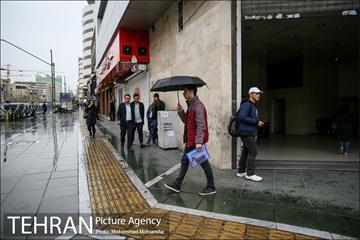 بارش باران بهاری در تهران 6