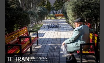 افتتاح پروژه های شهرداری منطقه ۴ 9