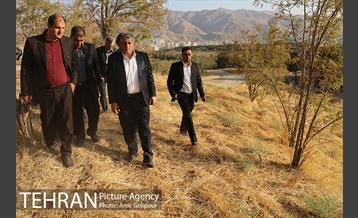 بازدید رئیس شورای شهر تهران از بوستان جنگلی چیتگر 4