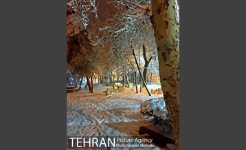 صبح برفی تهران 6