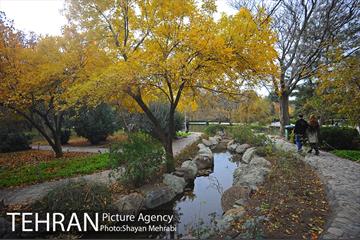 باغ گیاه‌شناسی ملی ایران 49