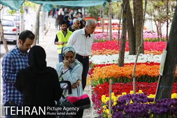 پیاده راه لاله برای مادران 23