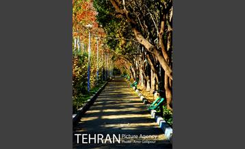 شهرک صدرا 33