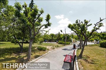 بوستان میعاد 11
