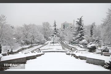صبح برفی بوستان ملت 19