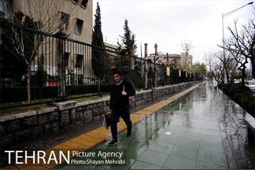 بارش باران بهاری در تهران 12