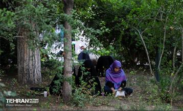 مراسم دعای عرفه دانشگاه تهران 27