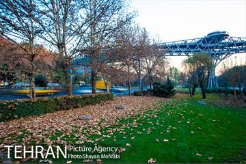 پاییز پل طبیعت 37