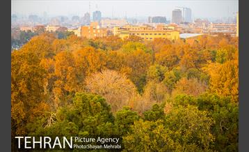 پاییز پارک شهر 7