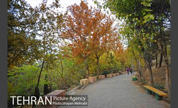 پاییز منطقه گردشگری اراضی عباس آباد 12