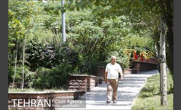 بوستان تندرستی 21