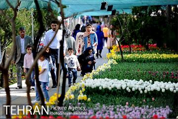 پیاده راه لاله مادران 31