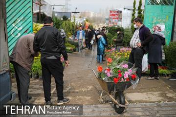بازار گل و گیاه غرب تهران در آستانه نوروز 32