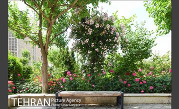 عمارت عین الدوله (نگارخانه برگ) 37