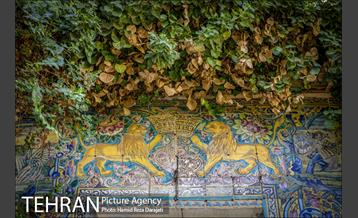 «ملک» ؛ عمارت رها شده 9