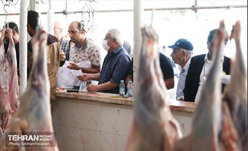 مرکز عرضه دام بهداشتی به مناسبت عید قربان 12