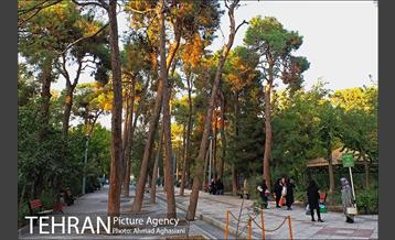 بوستان سهند 10