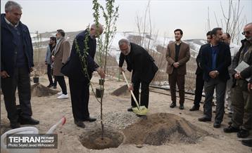 آیین روز درخت‌کاری و پایان پروژه کاشت ۲۵۰۰ هکتار کمربند سبز پایتخت  21
