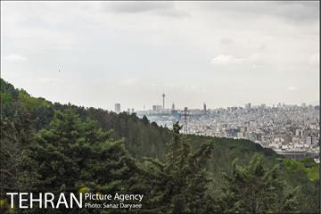 بوستان جنگلی لویزان 7