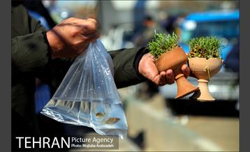 خرید لحظه آخری نوروزی 16