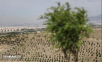 بازدید اصحاب رسانه از کمربند سبز 33