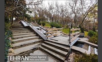 باغ راه فدک 4