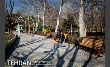 روزهای آفتابی پارک لاله 9