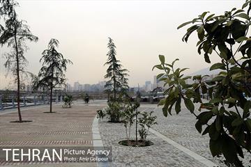 گذرفرهنگی تاراز 12