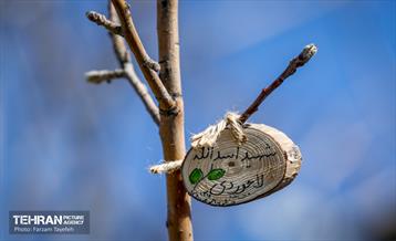 آیین غرس درخت در کوهسار با حضور معاون فرهنگی قوه قضاییه 6