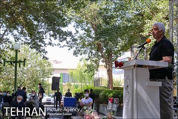 روز ملی کشتی 17