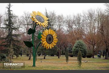 بارش باران زمستانی در تهران 11