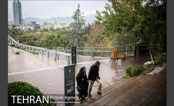 بارش باران پاییزی در تهران 16